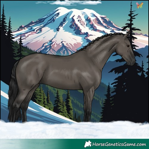 Horse Color:Gray Grullo