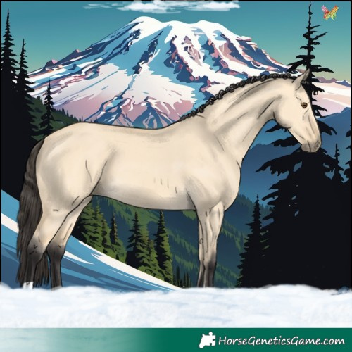 Horse Color:Buckskin Dun 