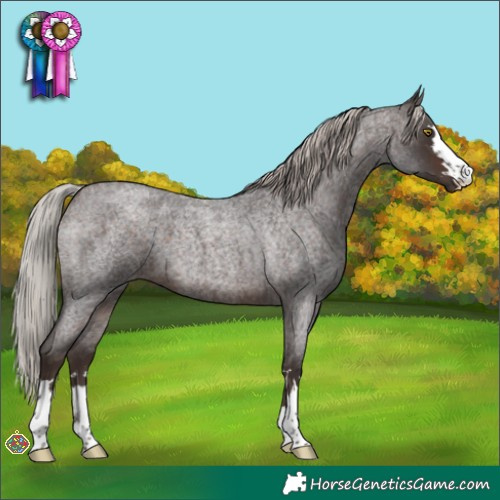 Horse Color:Silver Brown Roan