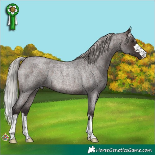 Horse Color:Silver Brown Roan Rabicano