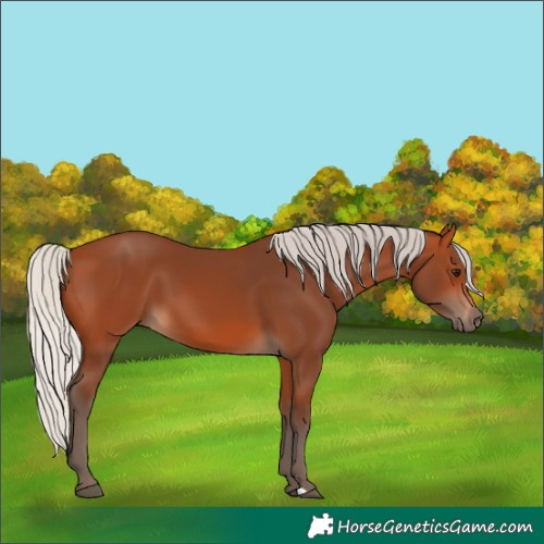 Horse Color:Silver Bay
