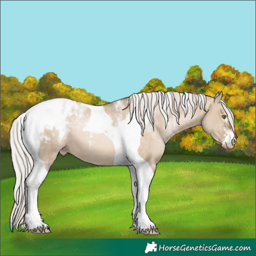 Horse Color:Powder White Silver Brown Pearl Dun Tobiano Blanket 