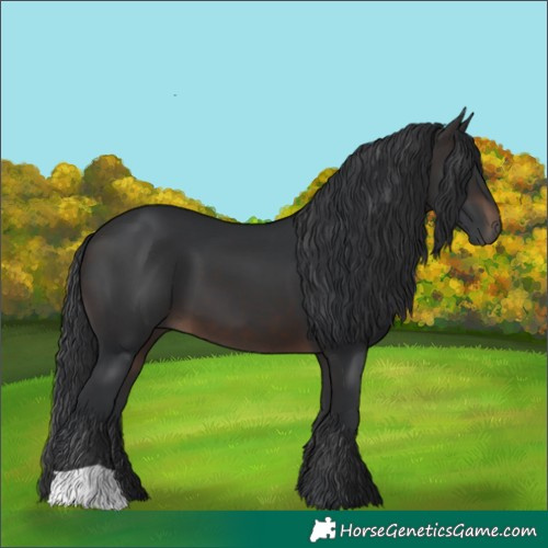 Horse Color:Brown 