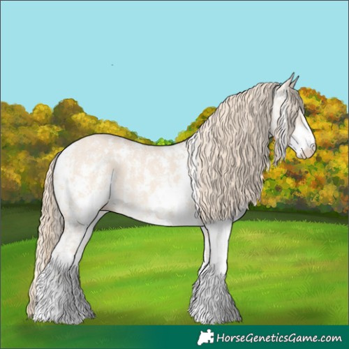 Horse Color:Perlino Sabino and Perlino Sabino