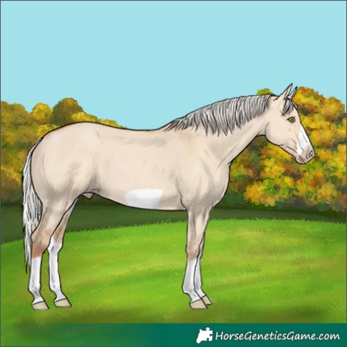 Horse Color:Silver Classic Champagne Dun Splash Frame