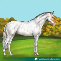 Horse Color:Silver Buckskin Roan Dun Tobiano Near Leopard Rabicano