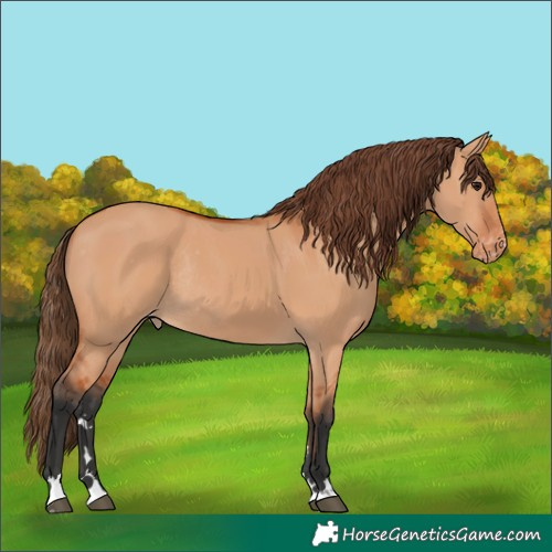 Horse Color:Unknown 