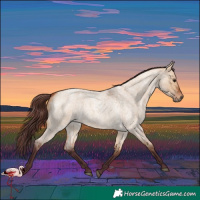 Horse Color:Chocolate Bay Roan Dun 