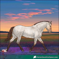 Horse Color:Chocolate Bay Roan Dun 