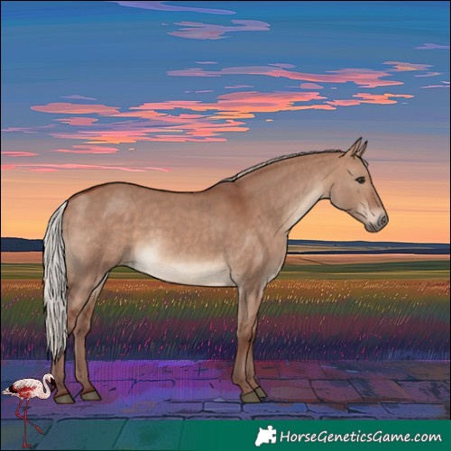Horse Color:Chocolate Silver Brown Dun 