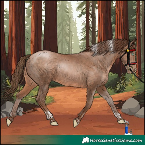 Horse Color:Brown Pearl Tobiano Rabicano