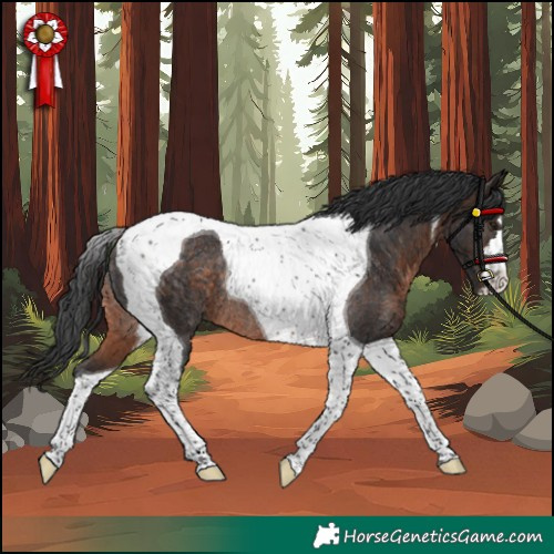 Horse Color:Brown Tobiano Rabicano