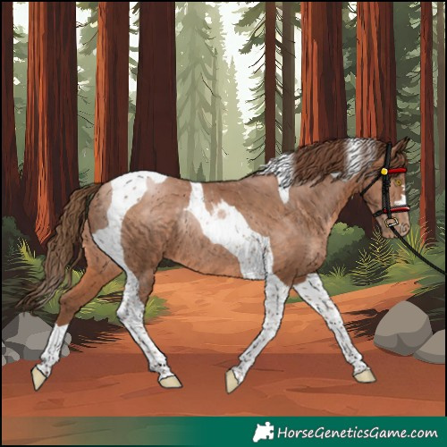 Horse Color:Brown Pearl Tobiano Rabicano