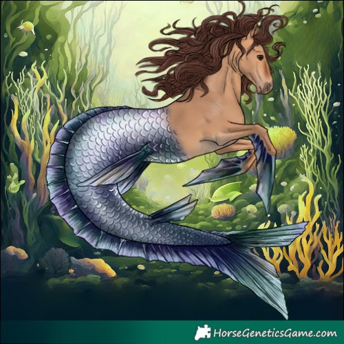 Horse Color:Chocolate Bay Dun 