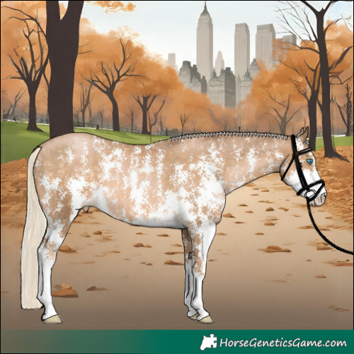 Horse Color:Chocolate Palomino Pearl Sabino Rabicano