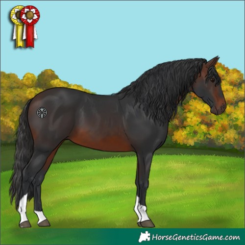 Horse Color:Brown Tobiano 