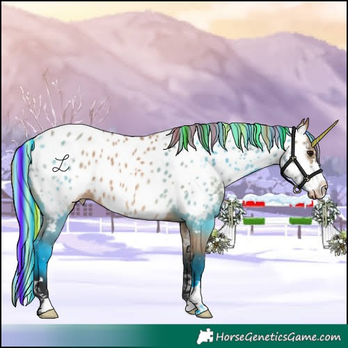 Horse Color:Painted Bay Dun Near Leopard 