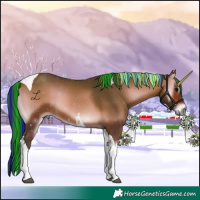 Horse Color:Painted Bay Onyx Tobiano