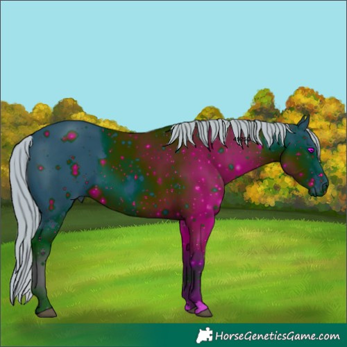 Horse Color:ERROR: UNKNOWN ANOMALY