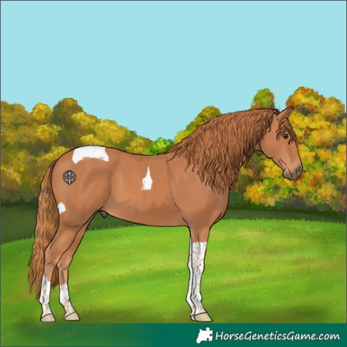 Horse Color:Chestnut Tobiano 