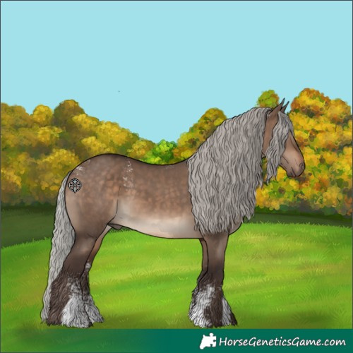Horse Color:Powder White Silver Brown Dun 