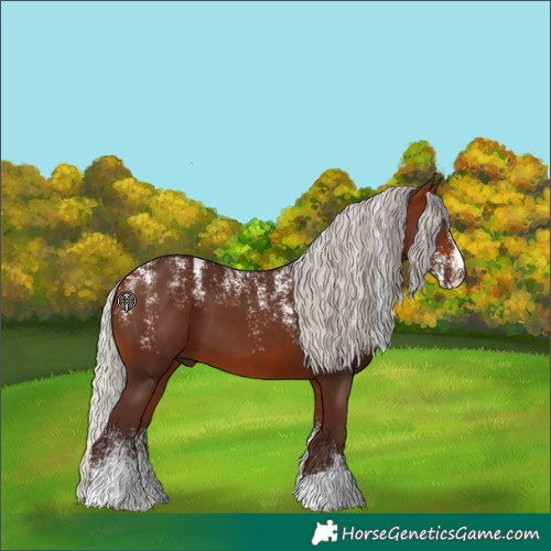 Horse Color:Powder White Silver Bay