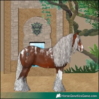 Horse Color:Powder White Silver Bay Tobiano