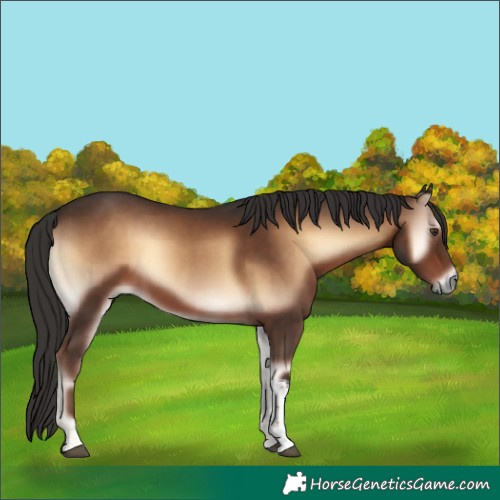 Horse Color:Liver Red Onyx Tobiano 