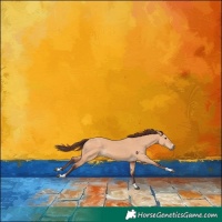 Horse Color:Chocolate Bay Dun