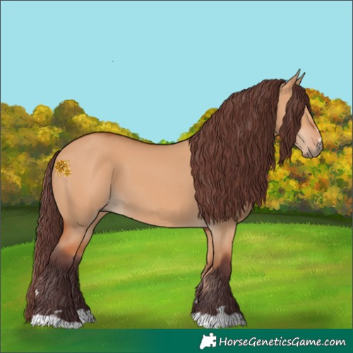 Horse Color:Chocolate Bay Dun 