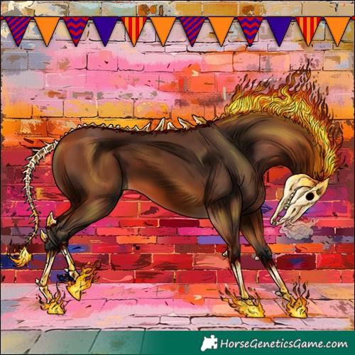 Horse Color:Bay 