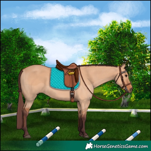 Horse Color:Chocolate Bay Dun 