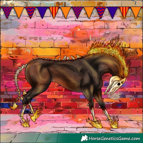 Horse Color:Bay 