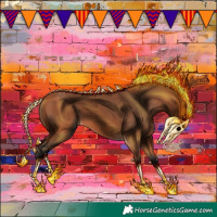 Horse Color:Bay 