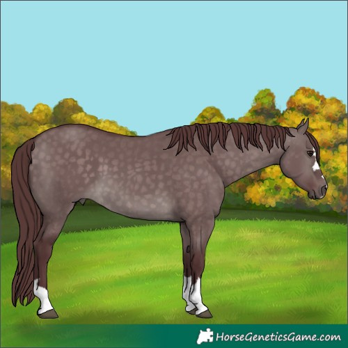Horse Color:Platinum Chocolate Brown Dun