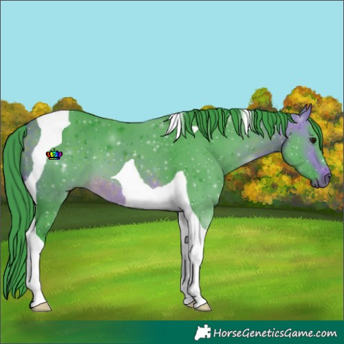 Horse Color:Watercolor Buckskin Tobiano 