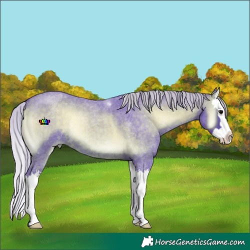 Horse Color:Watercolor Silver Brown Roan Onyx Splash