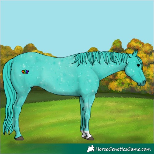 Horse Color:Watercolor Black
