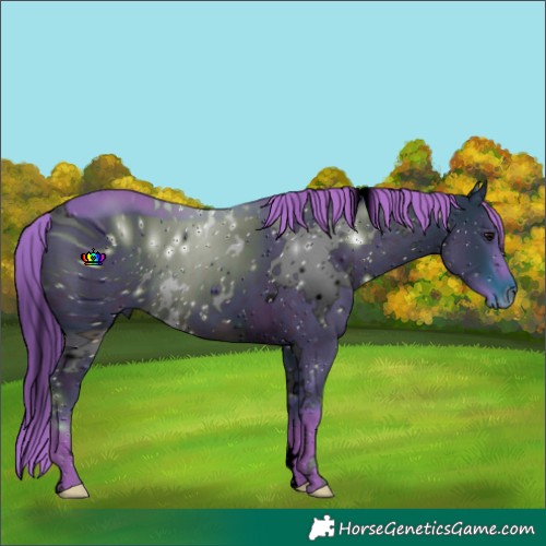 Horse Color:ERROR: UNKNOWN ANOMALY