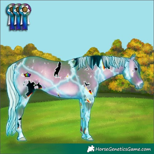 Horse Color:Thunderstruck Watercolor White Spotted Silver Brown Onyx Rabicano 