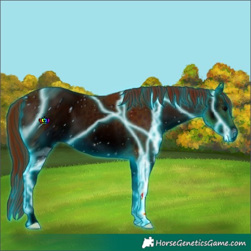 Horse Color:ERROR: UNKNOWN ANOMALY
