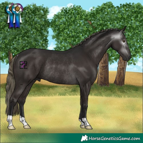 Horse Color:Gray Liver Chestnut Mushroom Rabicano 