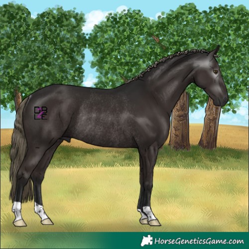 Horse Color:Gray Liver Chestnut Mushroom Rabicano 