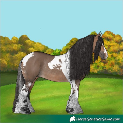 Horse Color:Bay Dun Tobiano Rabicano 