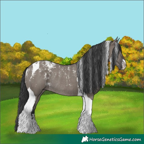 Horse Color:Powder White Grullo Tobiano Rabicano 