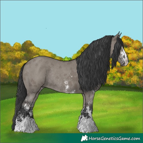 Horse Color:Grullo Sabino Rabicano
