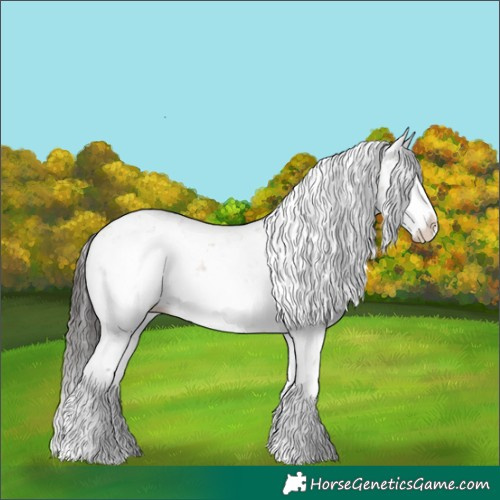 Horse Color:Brown Dun Sabino Splash Rabicano