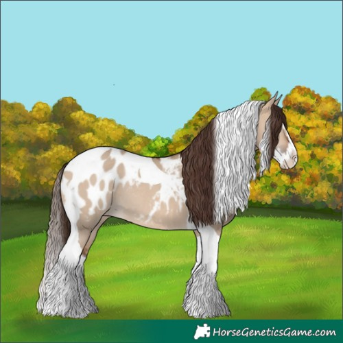Horse Color:Bay Dun Splash Tobiano Blanket Rabicano