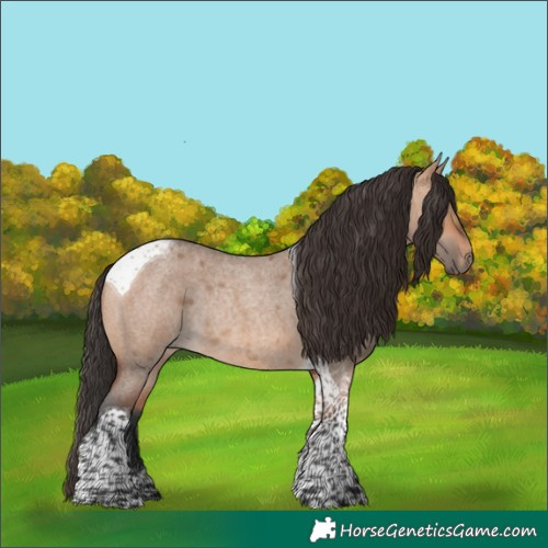 Horse Color:Bay Roan Dun Tobiano Rabicano 