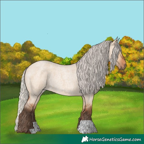 Horse Color:Silver Bay Roan Dun Rabicano